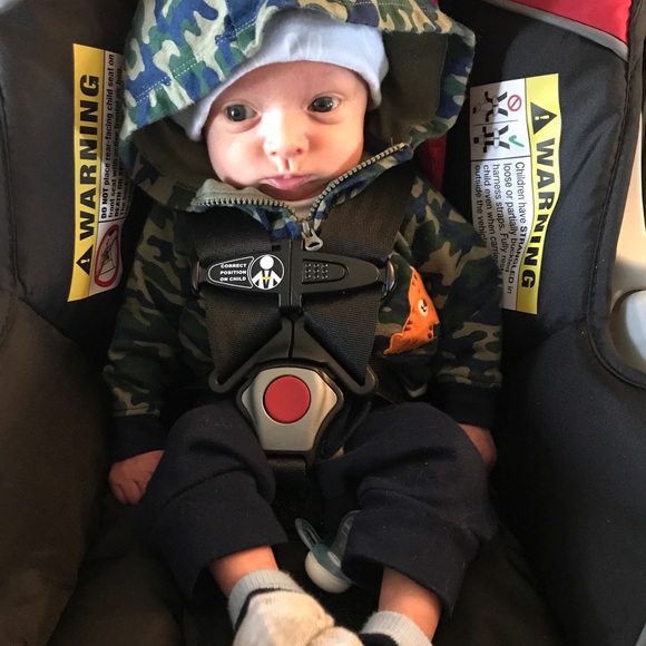 Meet your Posher, Dakota - Picture 2 of 8